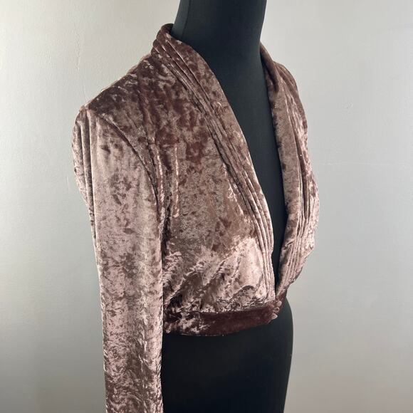 Lovers + Friends Brown Floyd Velvet Top Deep V-Neck Cropped Long Sleeve Size S - Picture 4 of 8